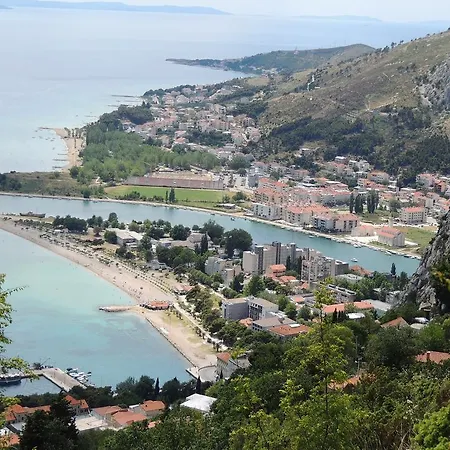 Lavander Omis *