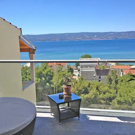 Lavander Omis *